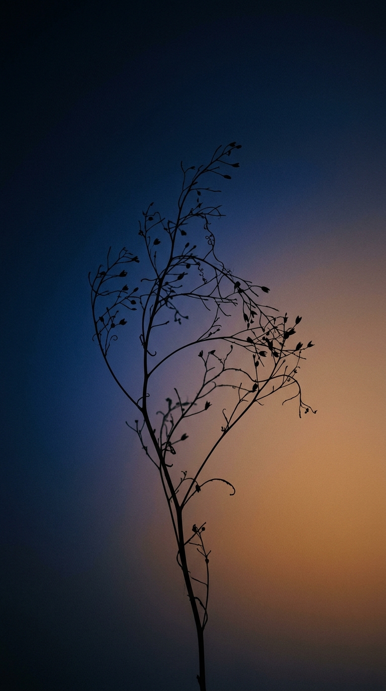 Tige unique, lumière de fin de jour